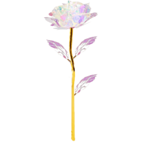 Rosebaer 25cm
