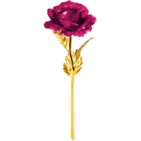 Rosenbar 25cm herz